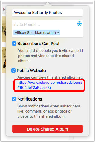 download entire icloud shared album