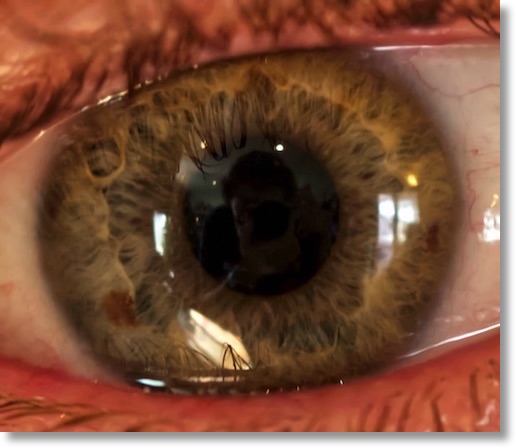 olympus 60mm macro for portraits