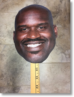 Shaq head stick