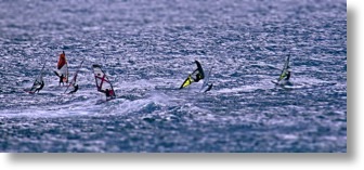 Miniature windsurfers