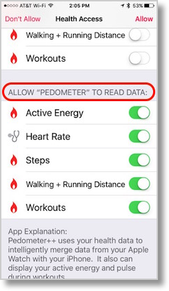 Health access pedometer