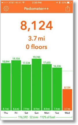 Pedometer graphs