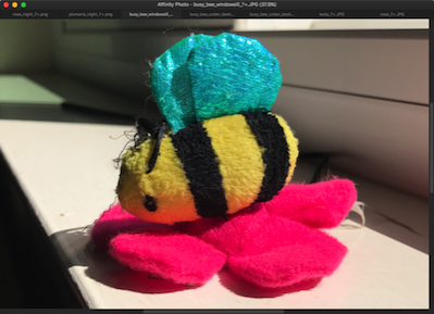 busybee_windowsill_7+.png Busybee windowsill 7+