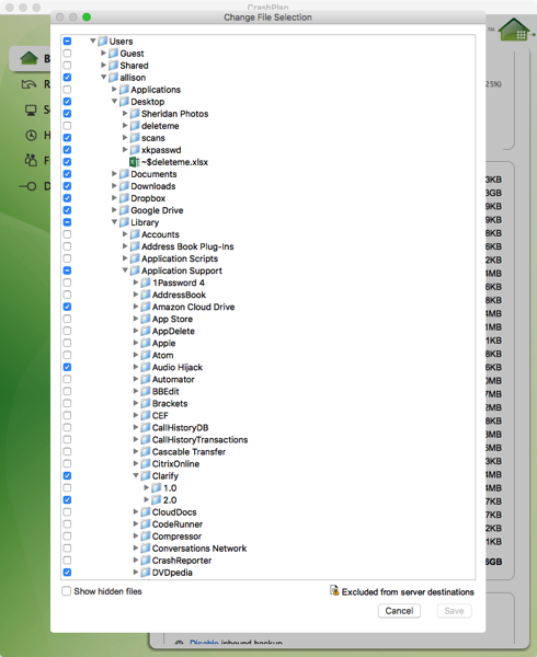 CrashPlan exclusions
