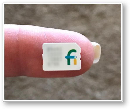 Project fi nano sim