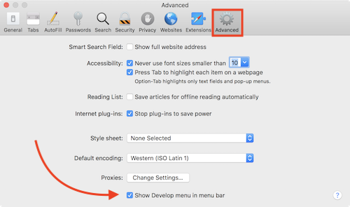 Safari Preferences Advanced Develop Menu