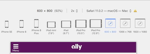 Ally responsive design 800x600