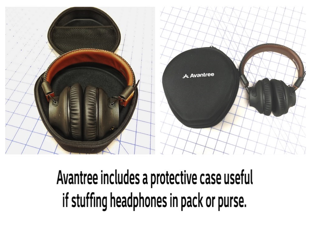 Avantree Case