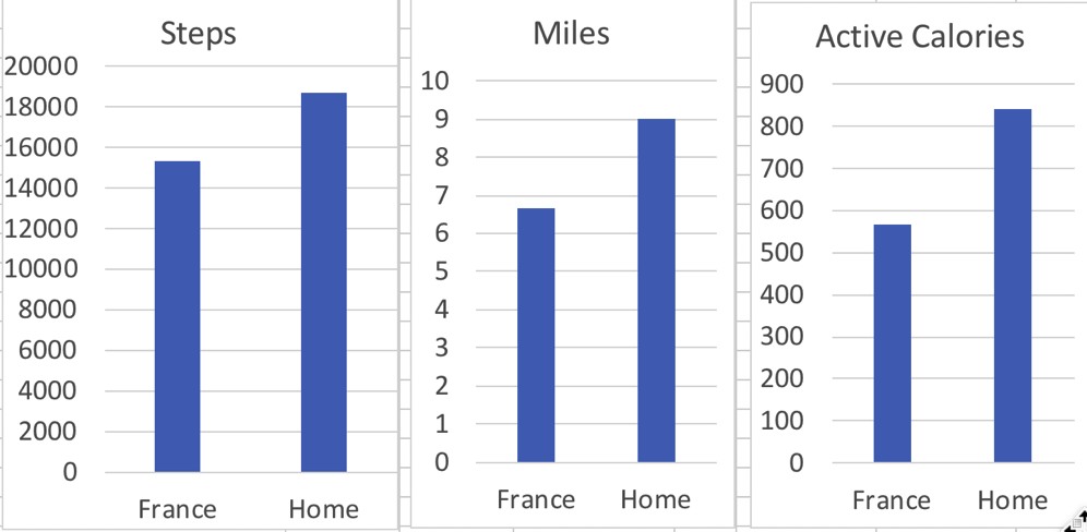 Bar graphs of three exercise metris