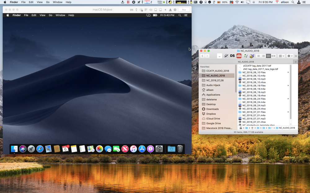 Mojave on High Sierra