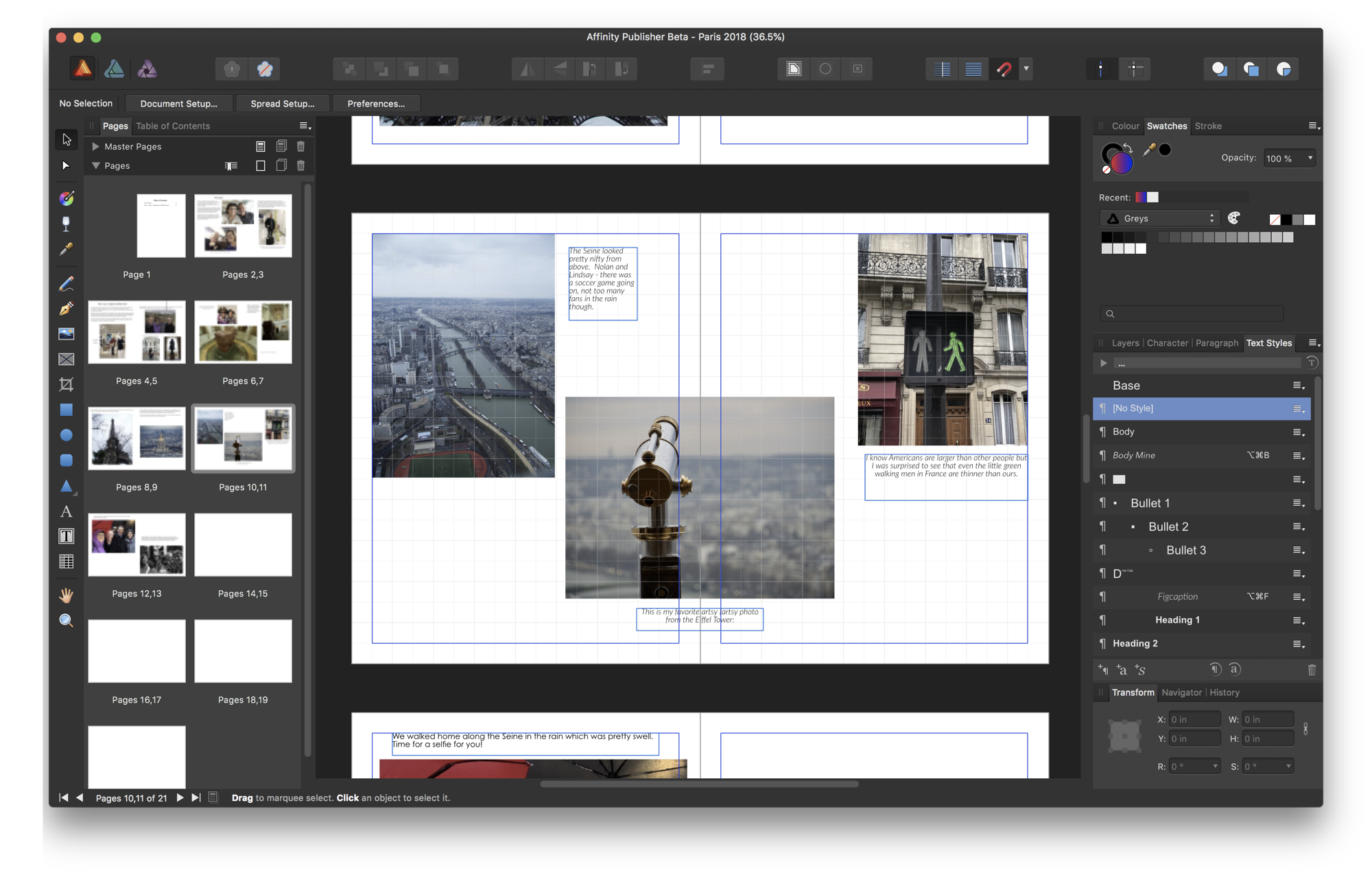 Affinity Publisher entire window