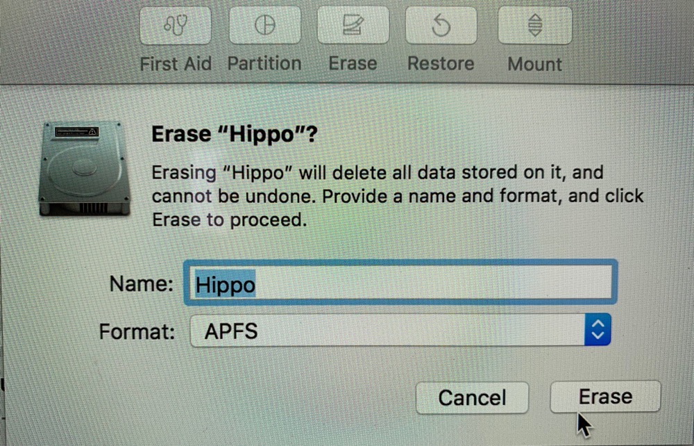 Erase hippo