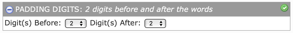 06 Padding Digits