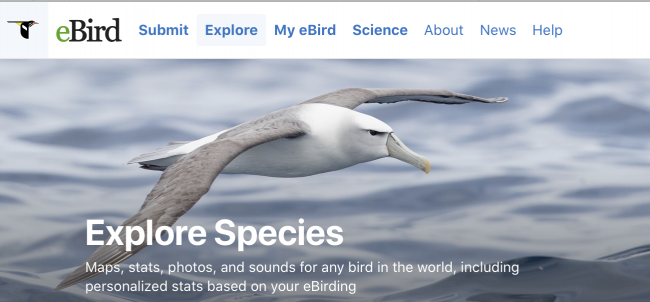 eBird site showing explore species