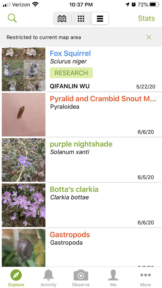 #title# Inaturalist1