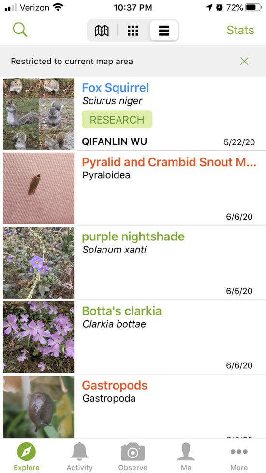 Inaturalist1