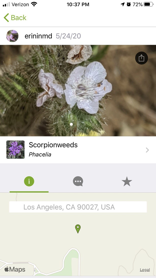 #title# Inaturalist2