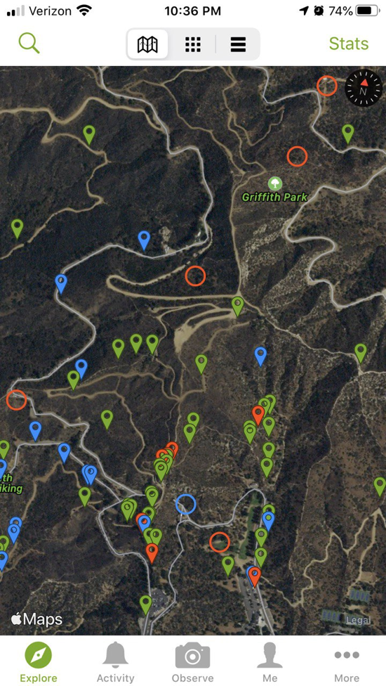 #title# Inaturalist3