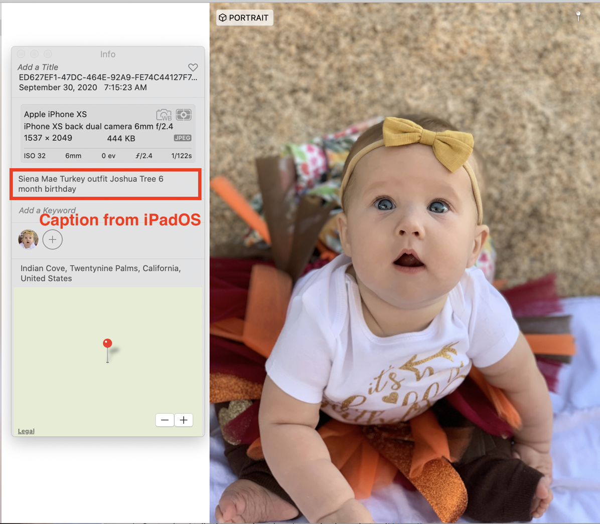 Photos Info Window Description matches Caption in iPadOS