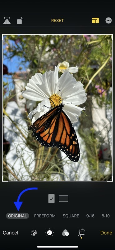 #title# Image Changed to 3x4 Aspect Ratio as Original