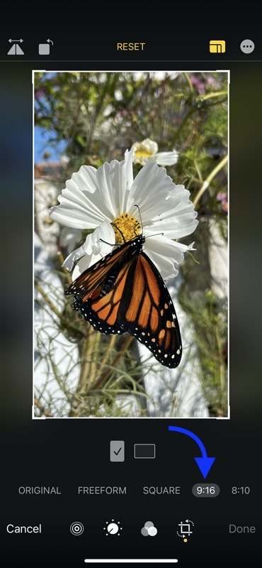 Tiny Tip 16 9 Setting On Iphone Camera Is Just A Crop Podfeet Podcasts