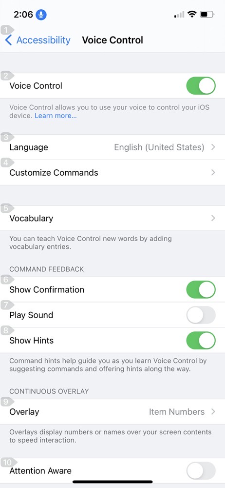 Voice Control Settings