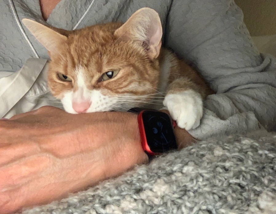 #title# Grace iPad arm