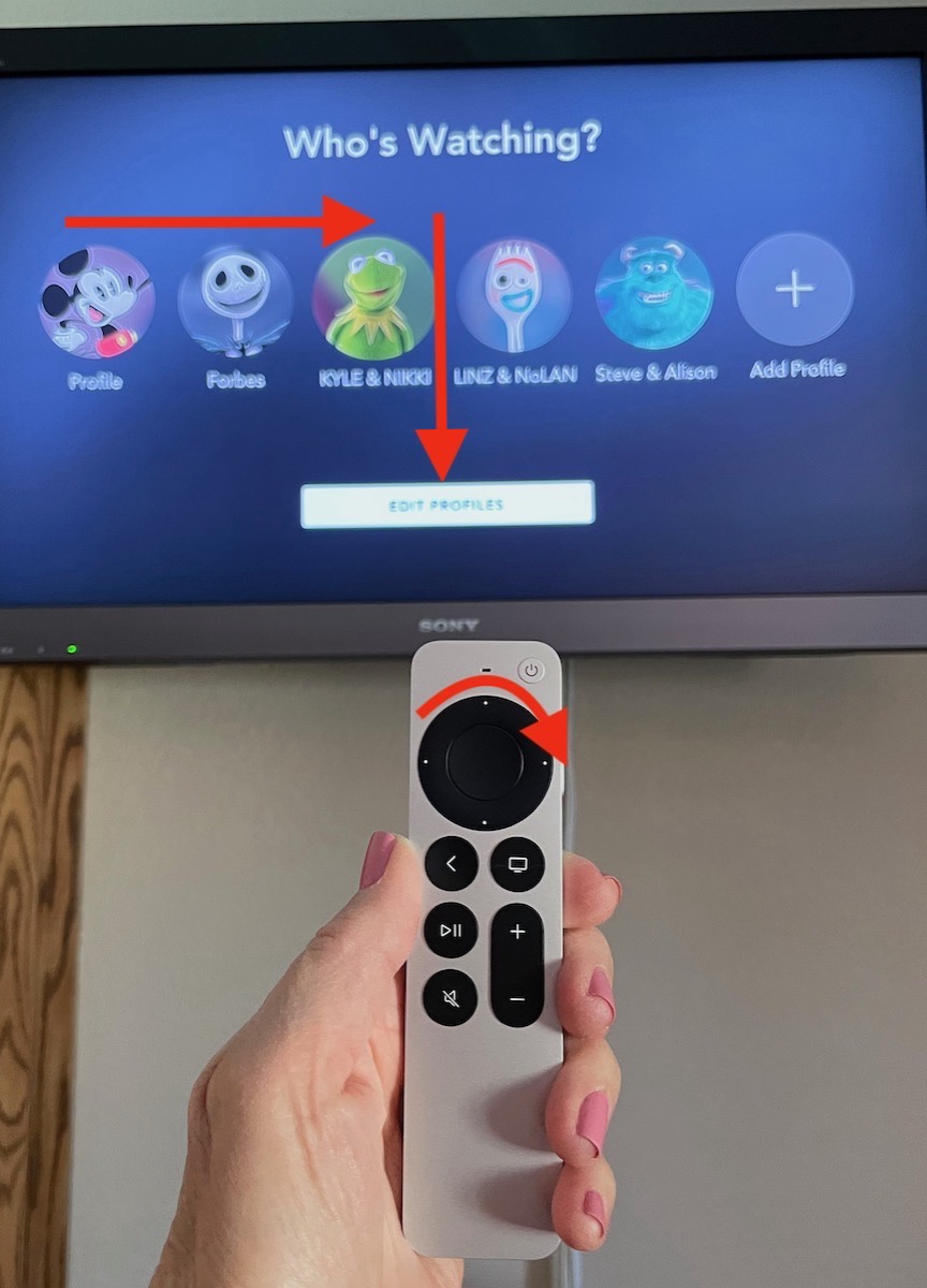 Remote Behavior with Disney+