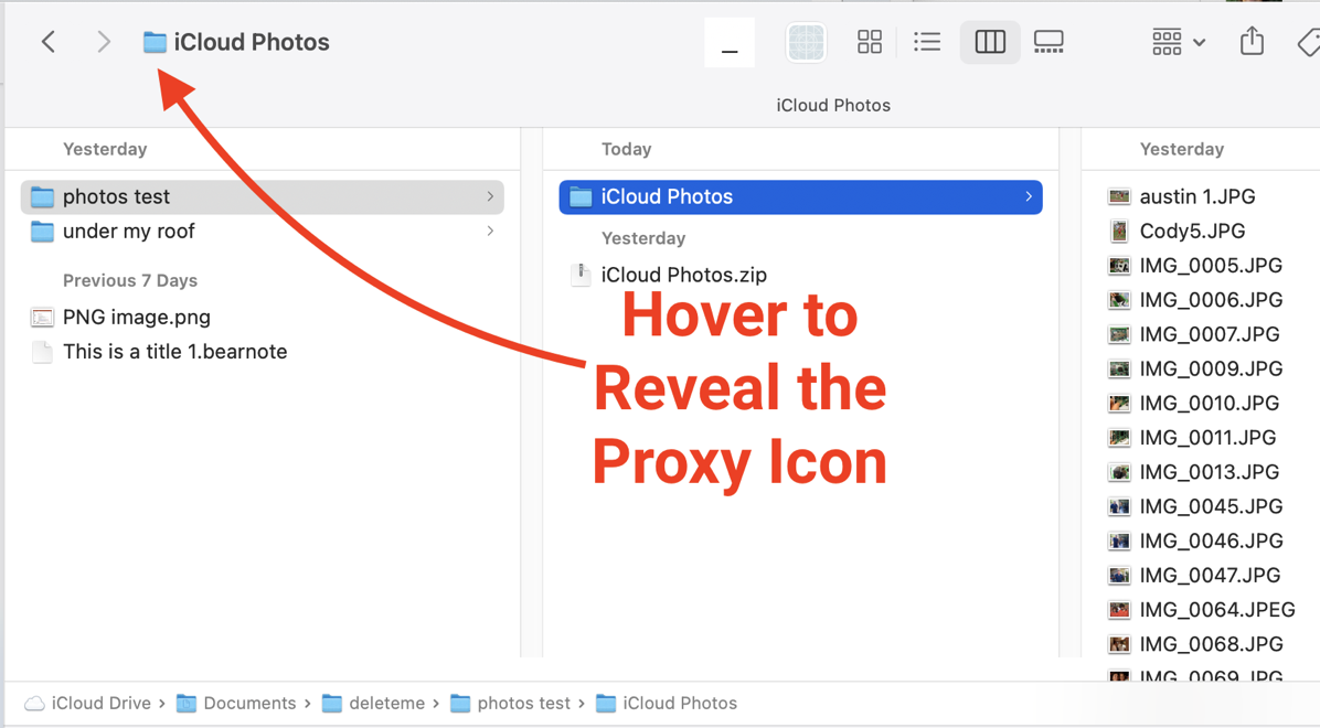 Pointing out Proxy Icon