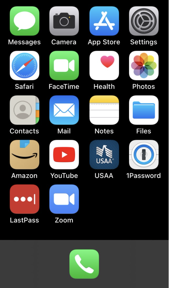 Melissa's Example Simplified iPhone Screen