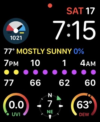 Carrot Apple Watch Face