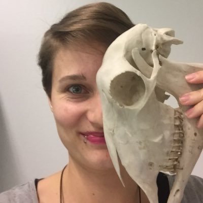 #title# Dr Niki Ackermans