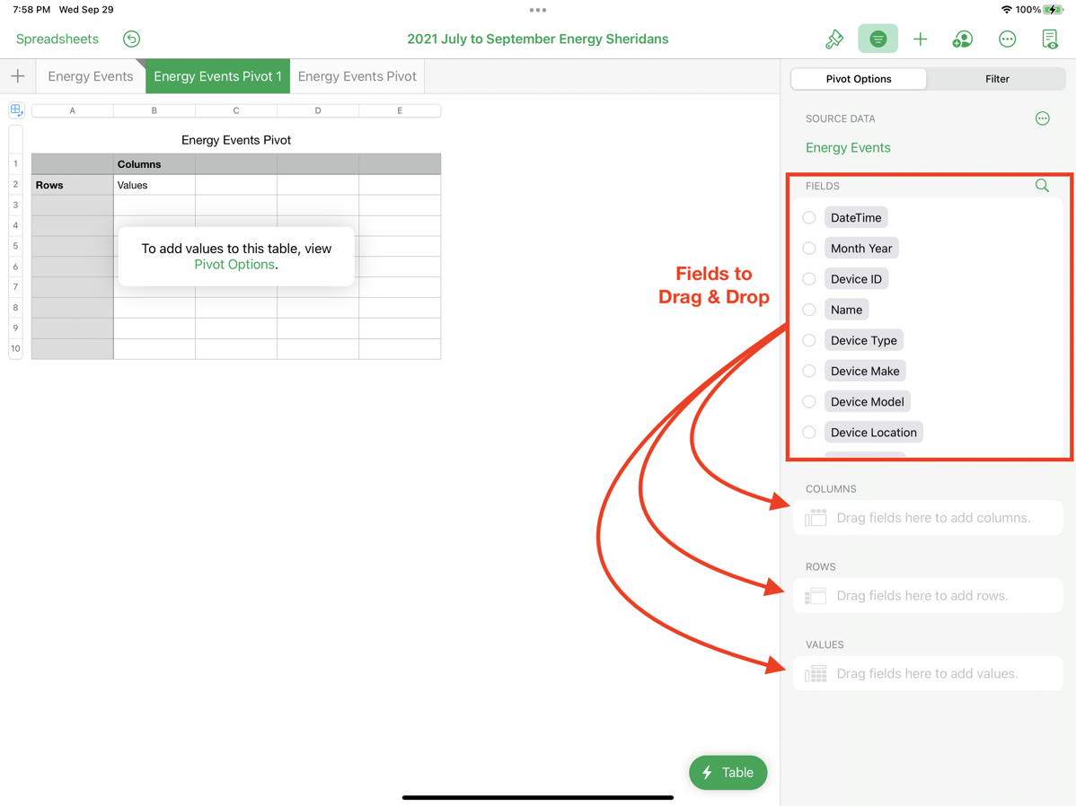 Blank Pivot Table