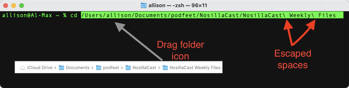 Drag folder icon into Terminal