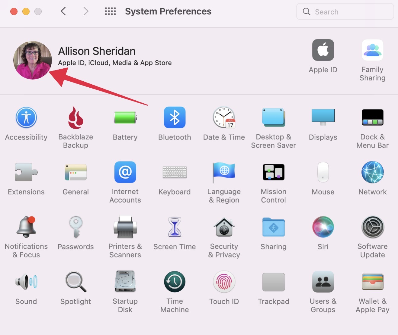 Select Your Avatar in System Preferences