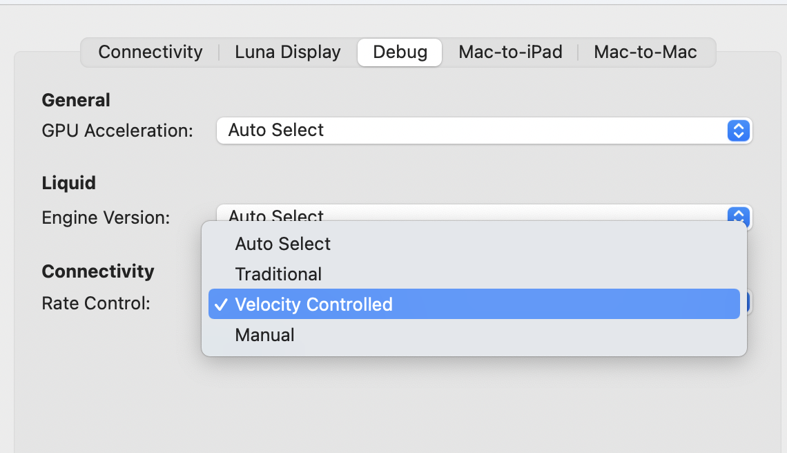 Luna Display Preferences Debug Options