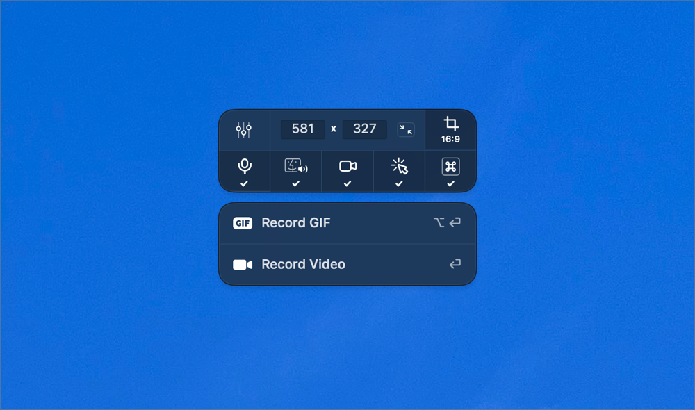 Screen Recording Controls