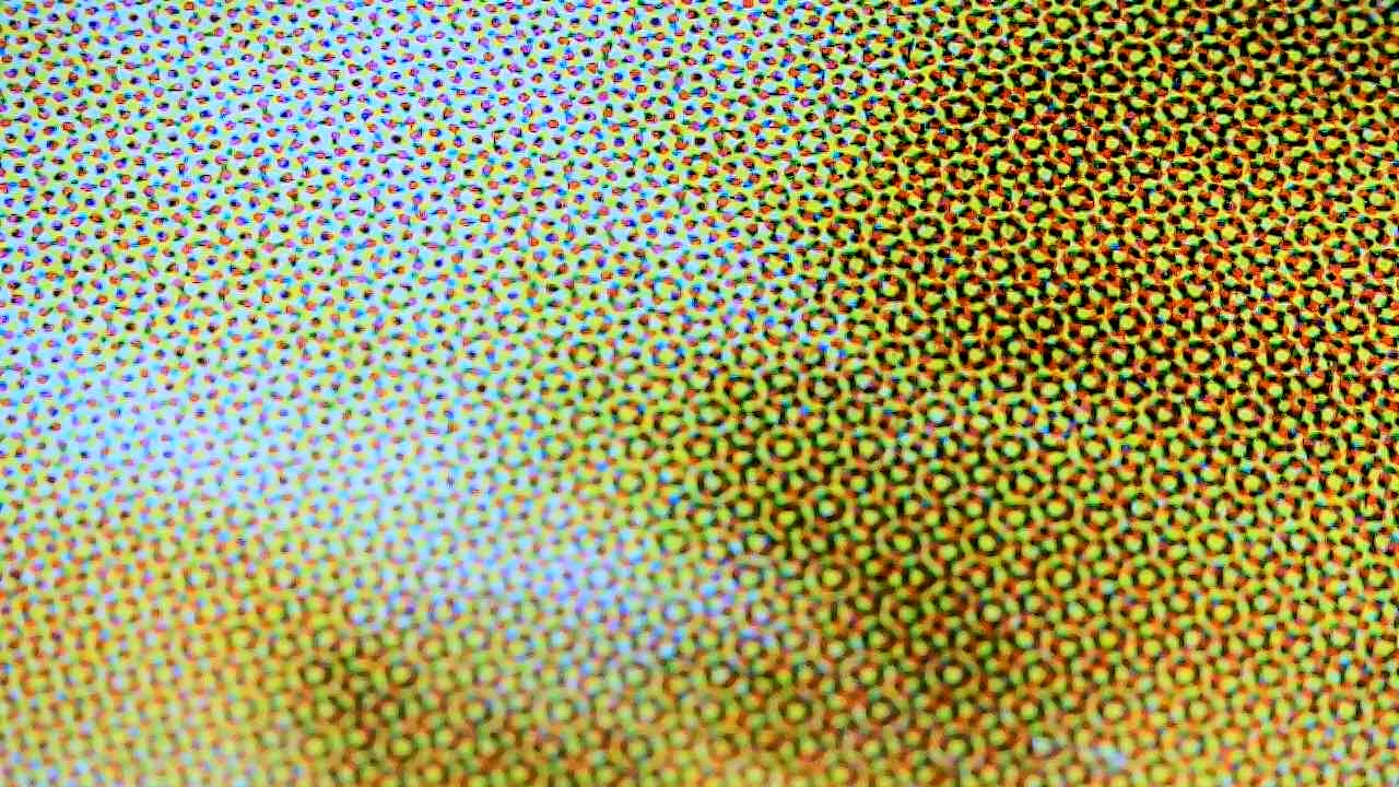 Book Screenprinting.JPG Book Screenprinting