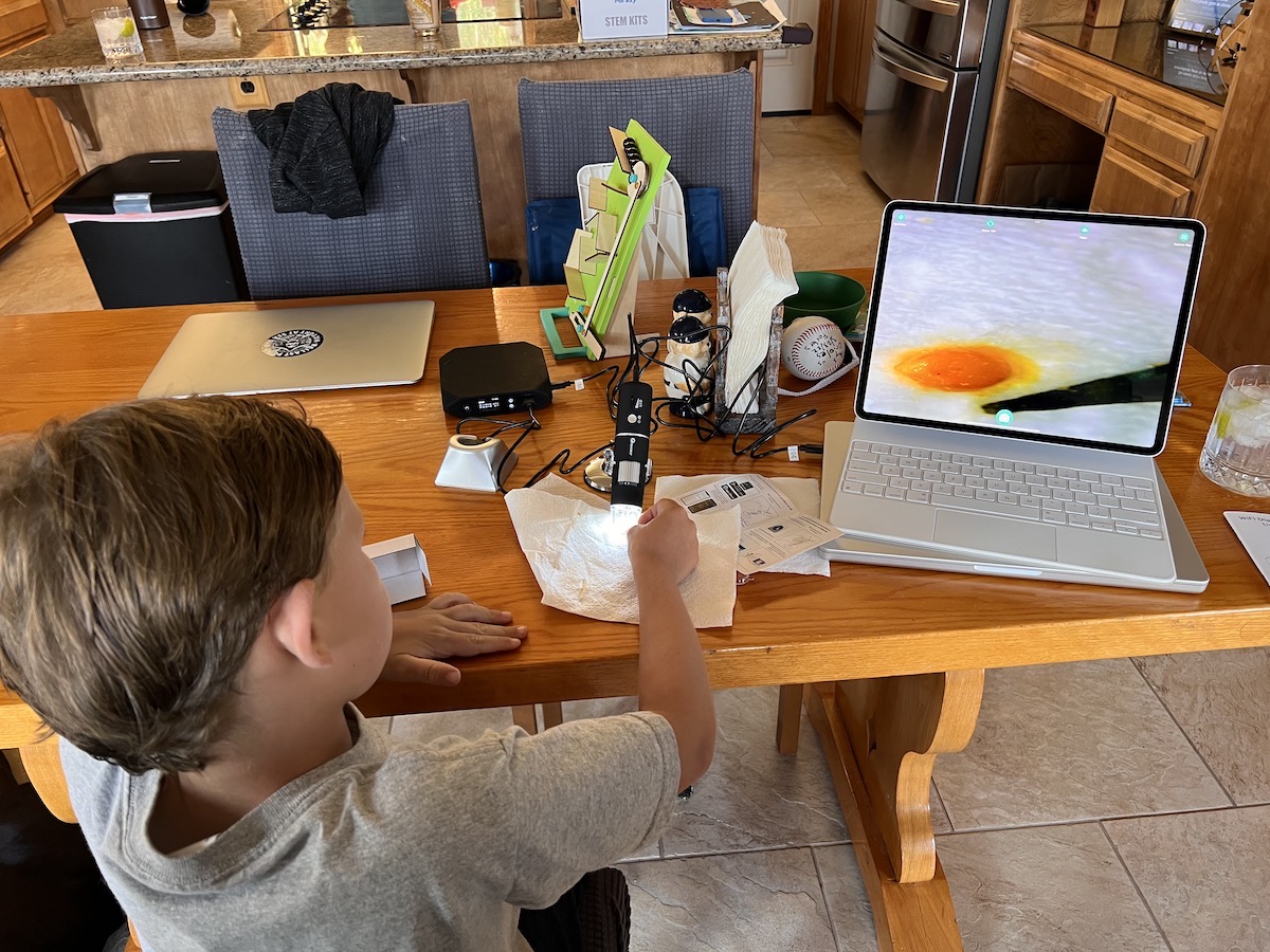 Forbes Using Microscope.jpeg Forbes Using Microscope to Look at a Tomato Seed