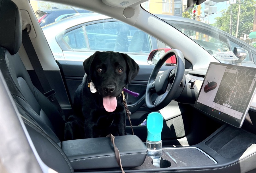 Quaid in the Drivers Seat of a Tesla.jpg Quaid in the Drivers Seat of a Tesla