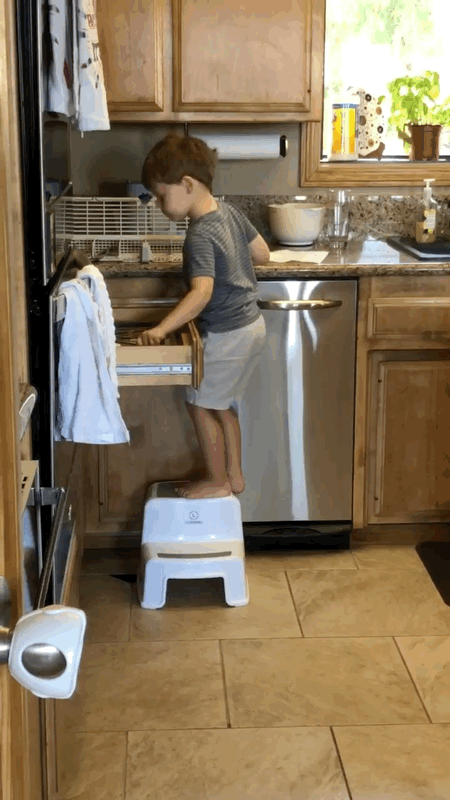 silverware-dance-forbes.gif Silverware dance forbes