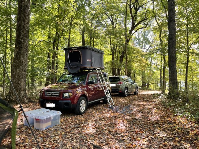 Roofnest Rooftop Tent on a Honda Element with a ladder going to the top, in the woods