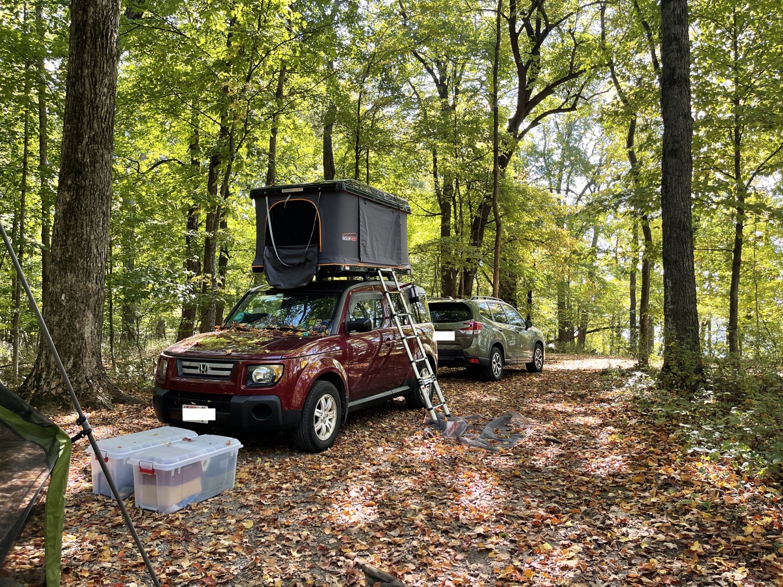 Roofnest Rooftop Tent on Honda Element out in the woods with ladder up to the tent