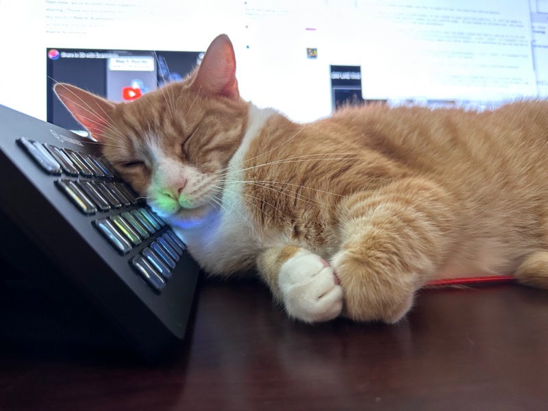 Grace Using Stream Deck as a Headrest.jpeg Grace Uses Stream Deck as a Headrest