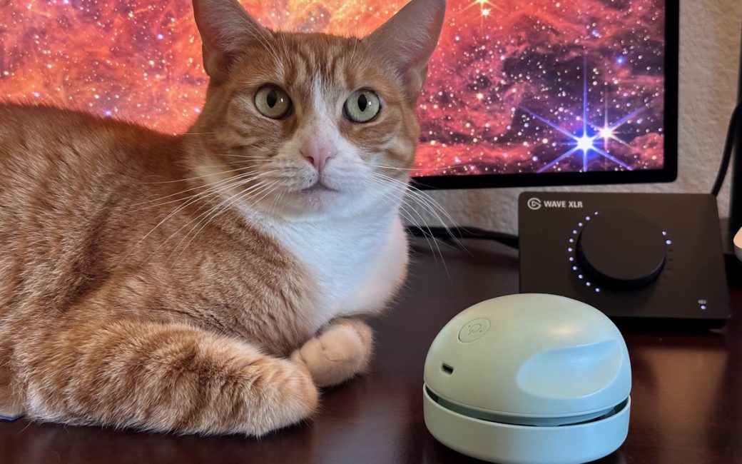 My cat grace sitting on my desk next to the vacuum