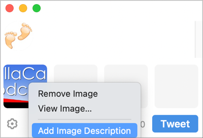 Tweetbot Add Image Description