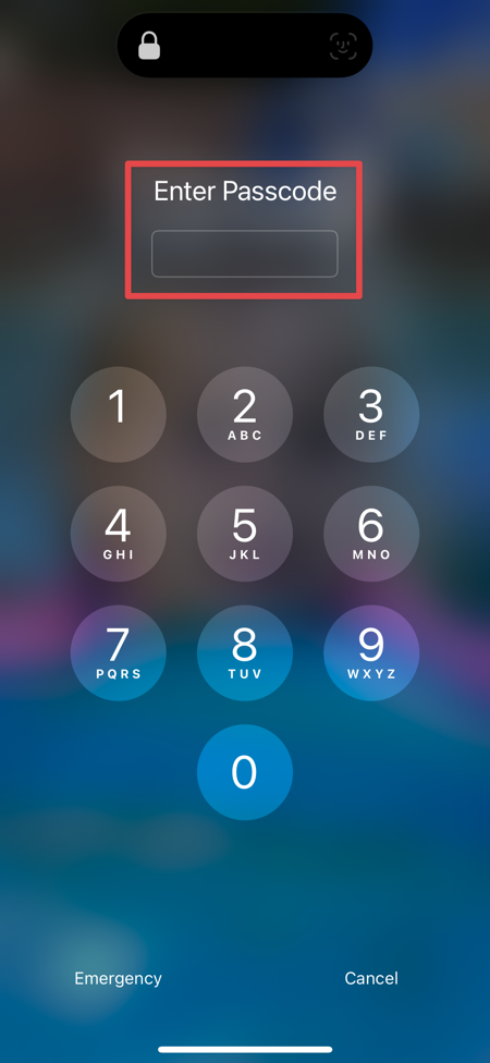 Lock Screen Does Not Show How Many Digits