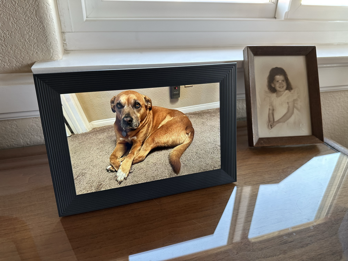 Aura Frame on my Dresser Showing Tesla and a photo of me as a toddler in a normal frame.png Aura Frame on my Dresser Showing Tesla and a photo of me as a toddler in a normal frame