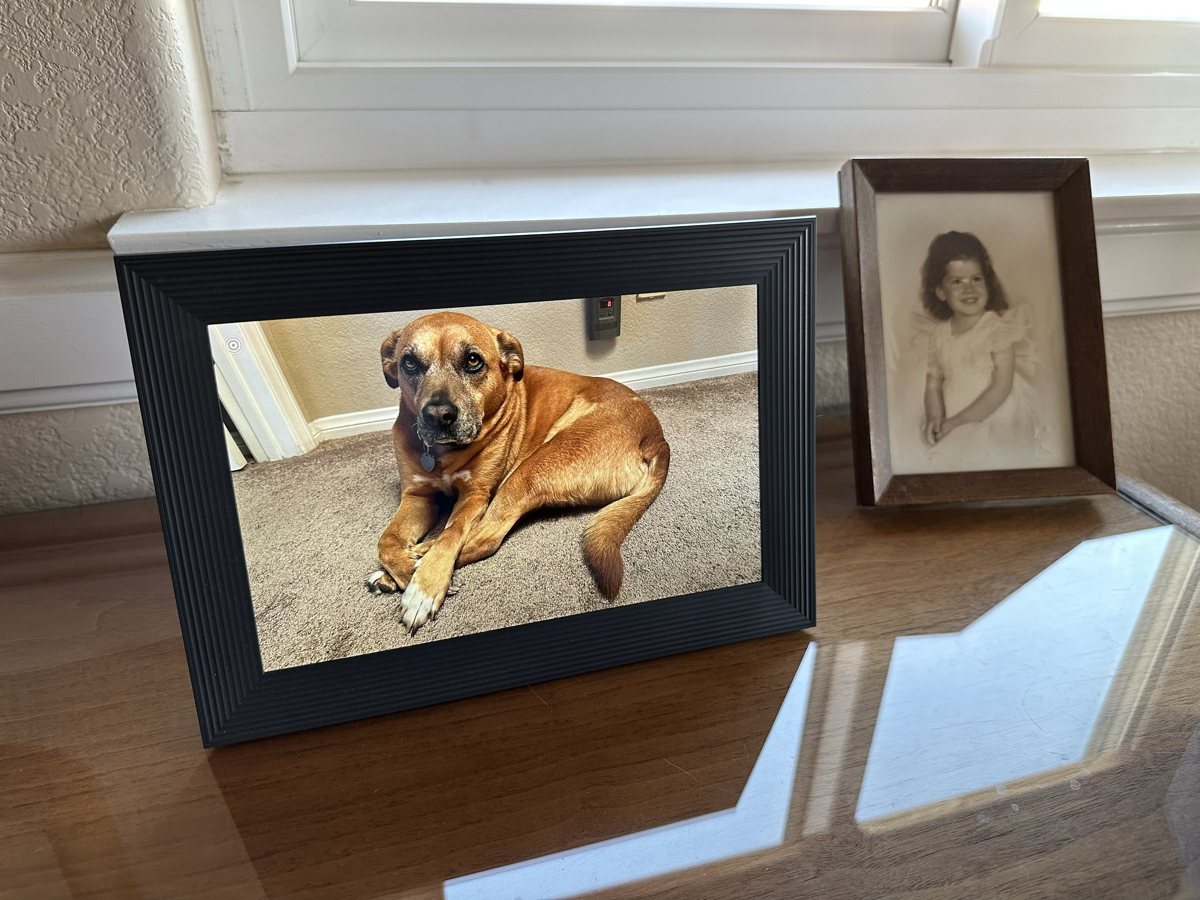 Aura Frame on my Dresser Showing Tesla and a photo of me as a toddler in a normal frame