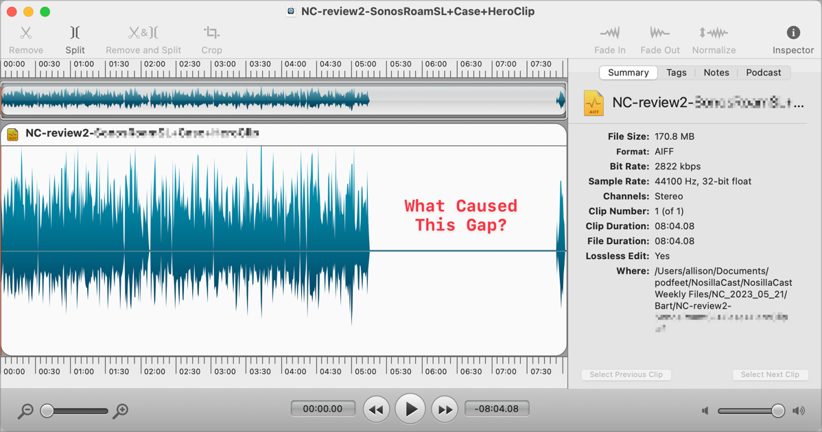 Second audio file open in Fission showing the dead silence in the audio